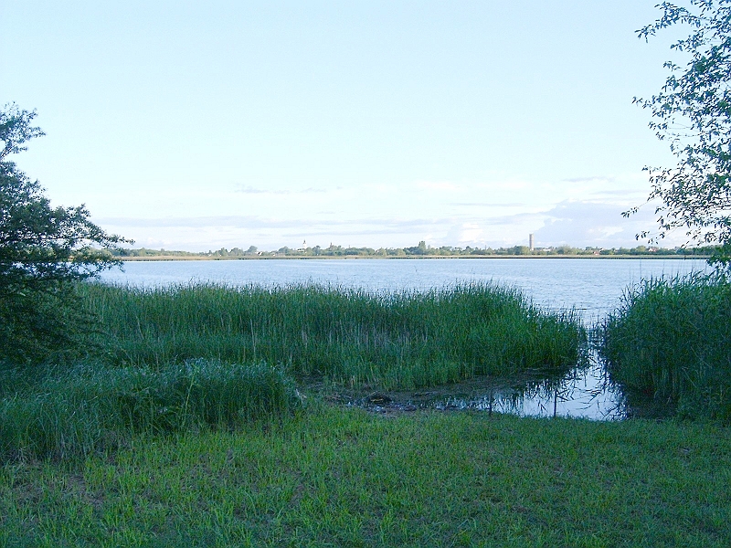 20100602 009.jpg